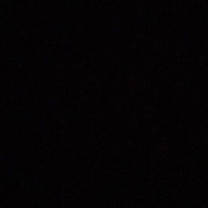 Meet your Posher, Rose